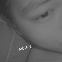 MCС-ʮİ